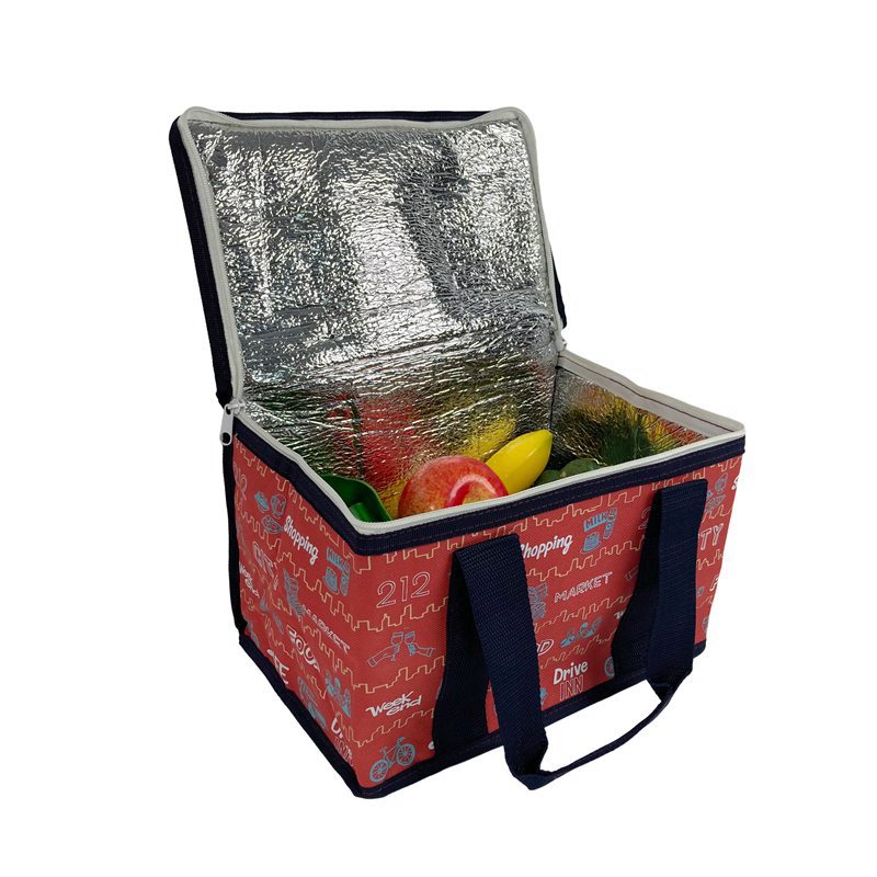 Collapsible Cooler For Travel